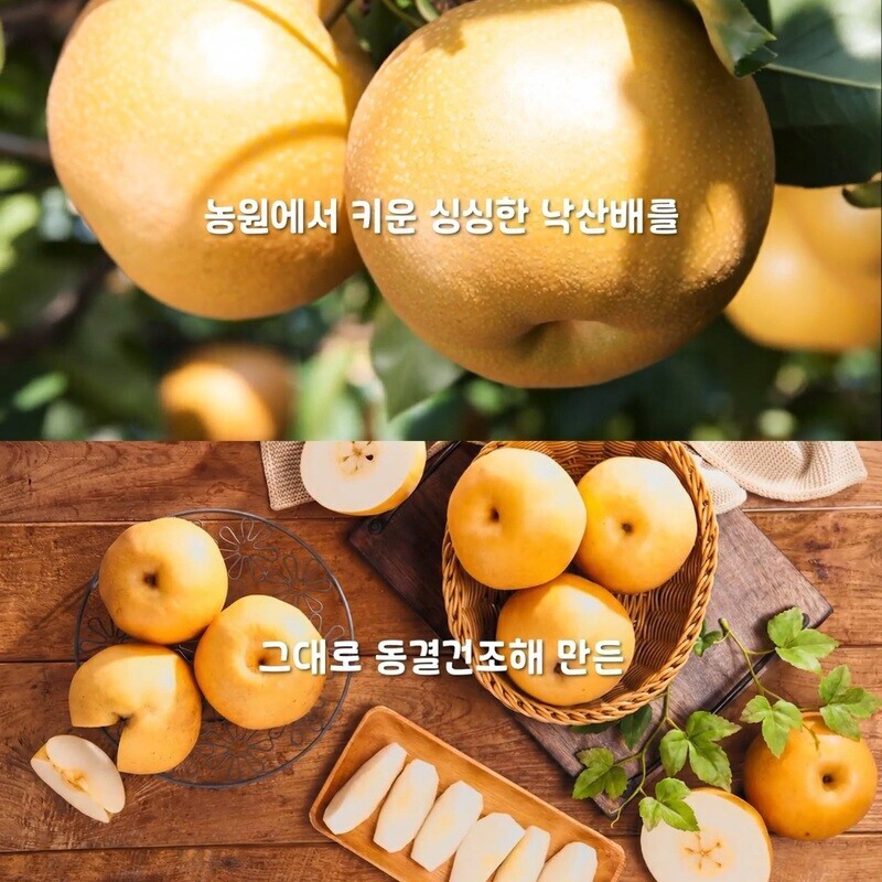 양양몰,낙산배 월리농원, BAEBAE 배칩, 배100% 동결건조칩